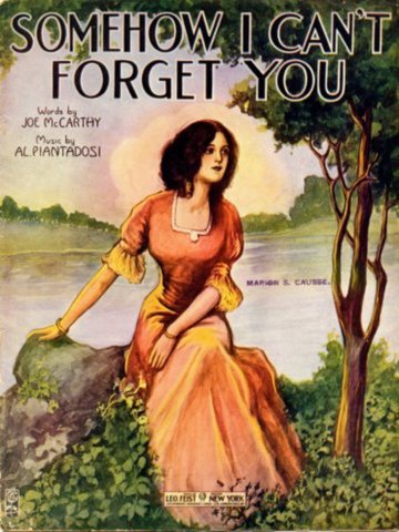 somehowicantforgetyou.jpg